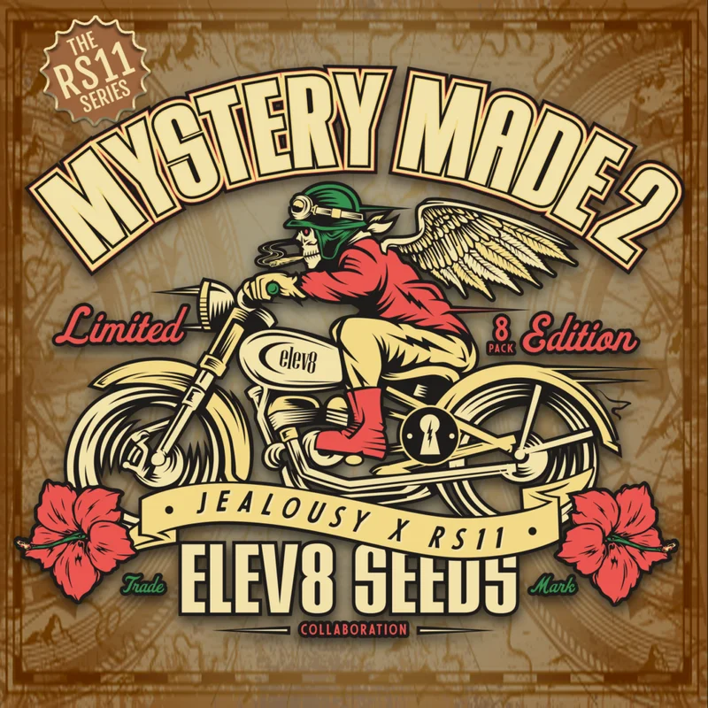 Mystery Made 2 van Elev8 Seeds