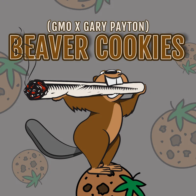 Beaver Cookies van Elev8 Seeds