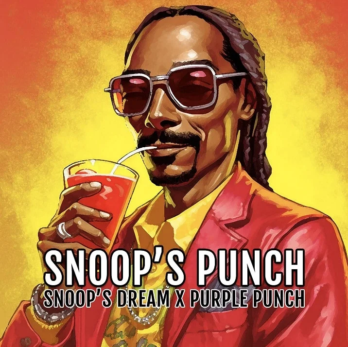Snoop's Punch van Elev8 Seeds