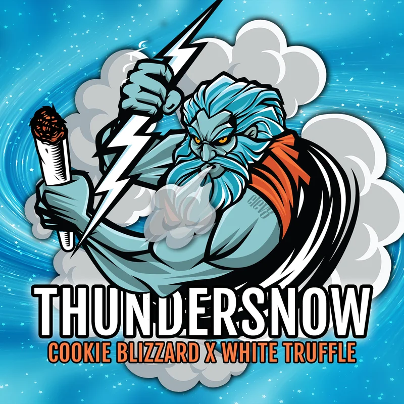 Thundersnow van Elev8 Seeds