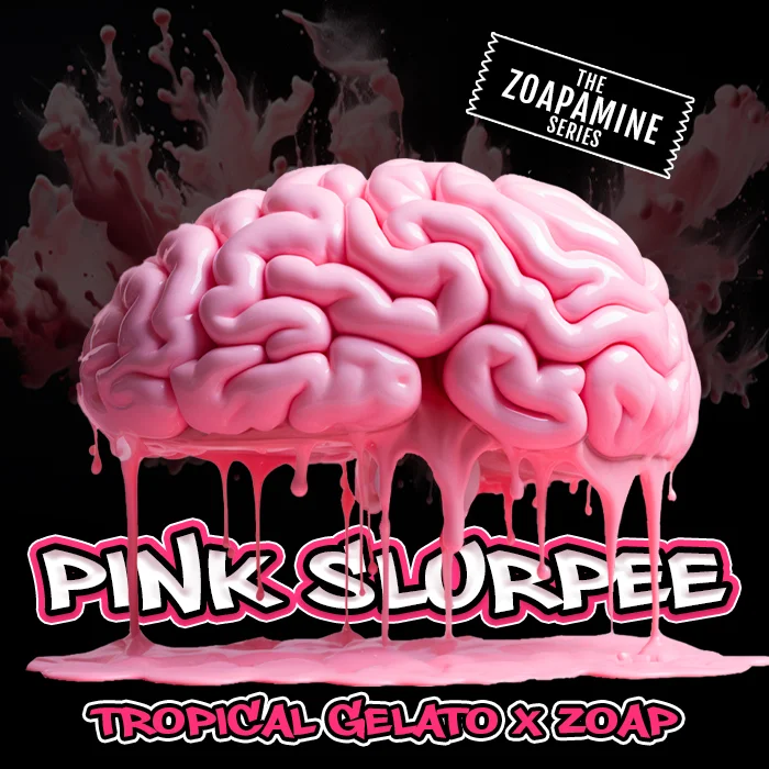 Pink Slurpee by Elev8 Seeds