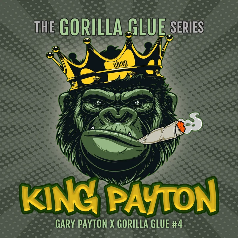 King Payton by Elev8 Seeds