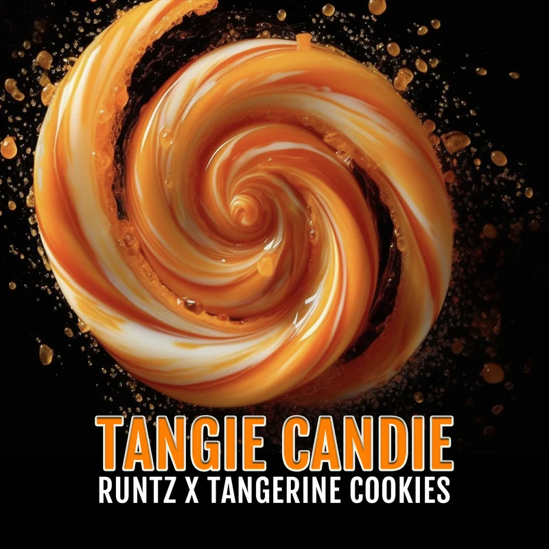 Tangie Candie van Elev8 Seeds