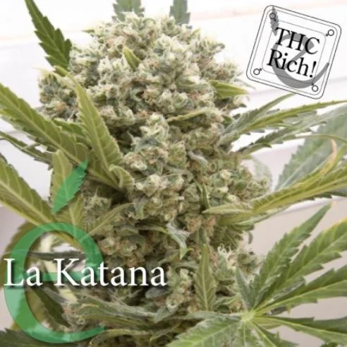 La Katana van Elite Seeds