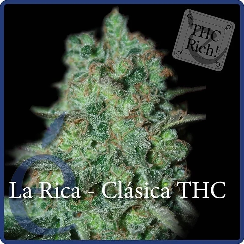 La Rica Classic THC van Elite Seeds