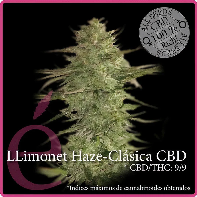 Llimonet Haze Classic CBD van Elite Seeds