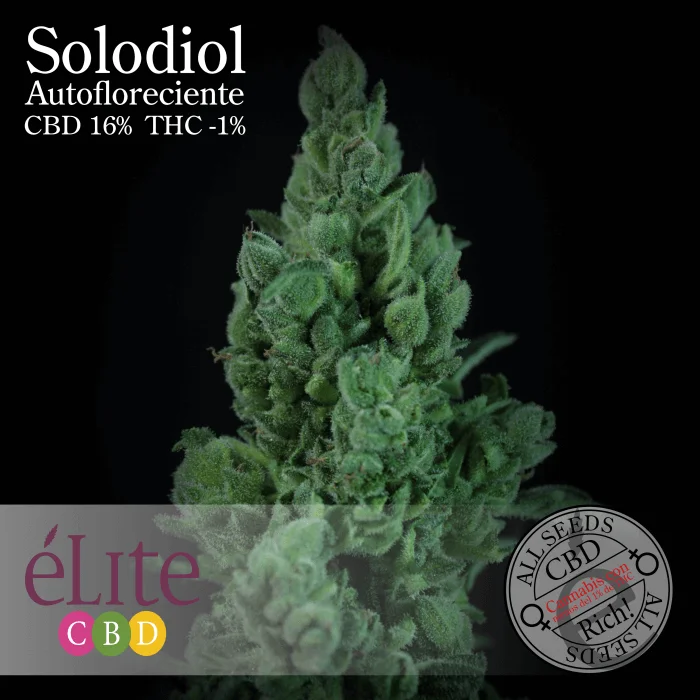 Solodiol van Elite Seeds