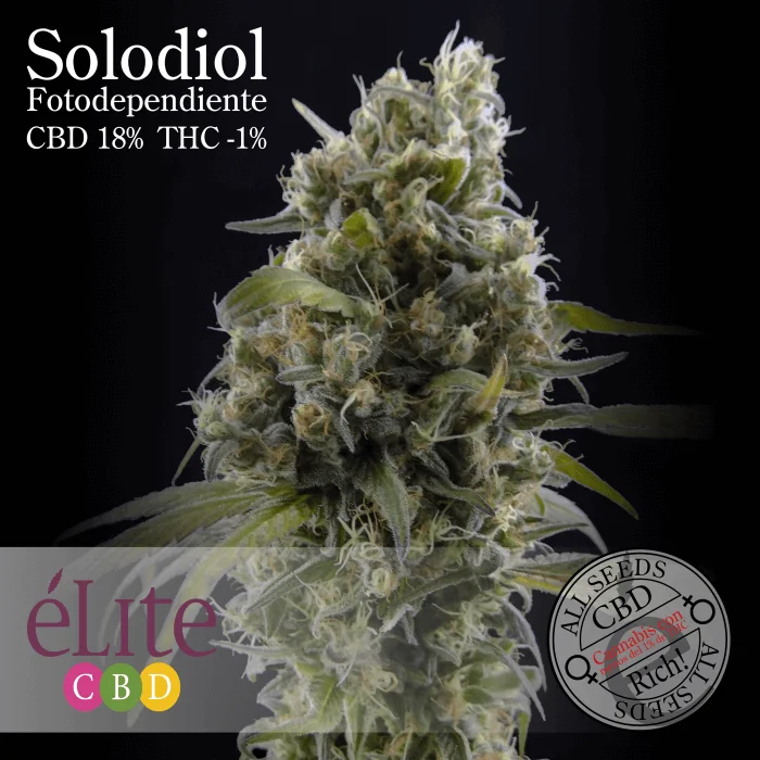 Solodiol Classic van Elite Seeds