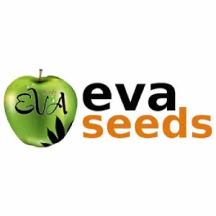 Jamaican Dream CBD van Eva Seeds