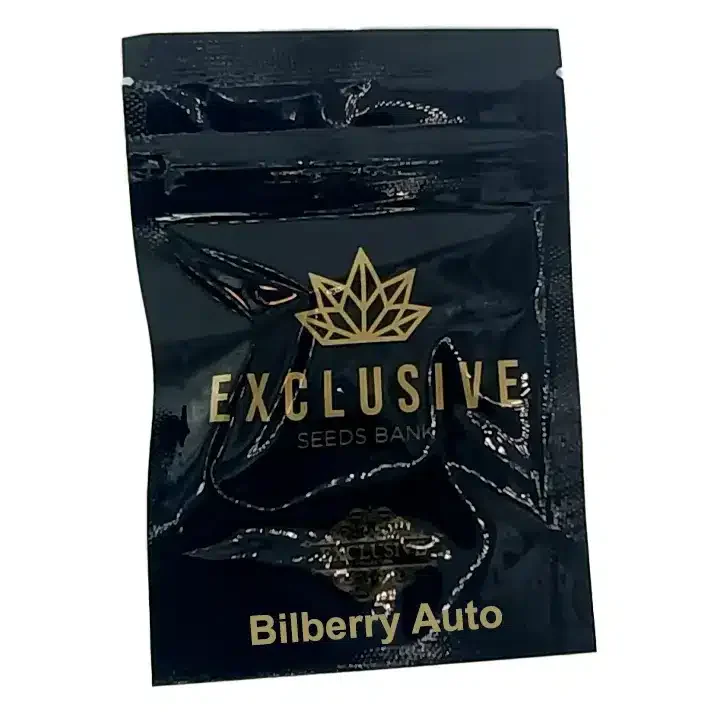 Bilberry van Exclusive Seeds Bank
