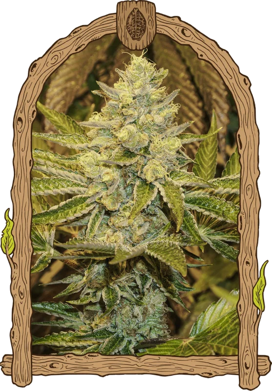 Exotic Animal van Exotic Seed