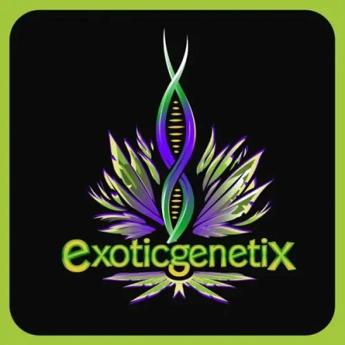 Cook'd van Exotic Genetix