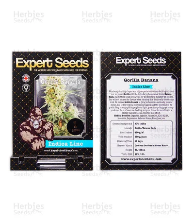 Gorilla Banana van Expert Seeds