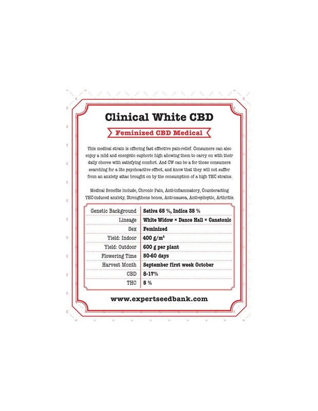 Clinical White CBD van Expert Seeds