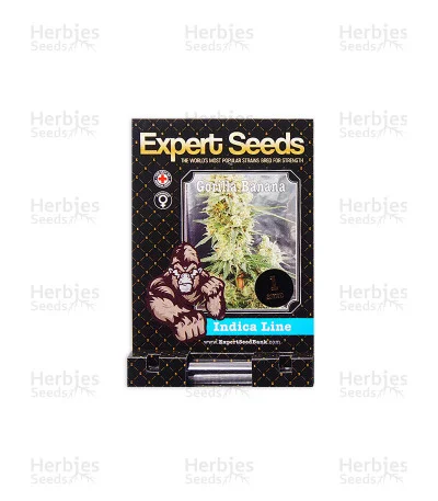 Gorilla Banana van Expert Seeds
