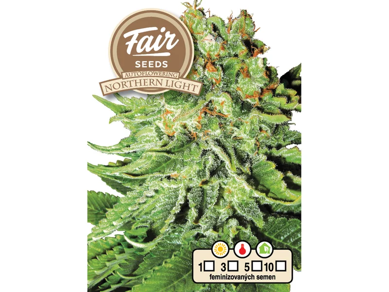 Northern Light van Fair Seeds