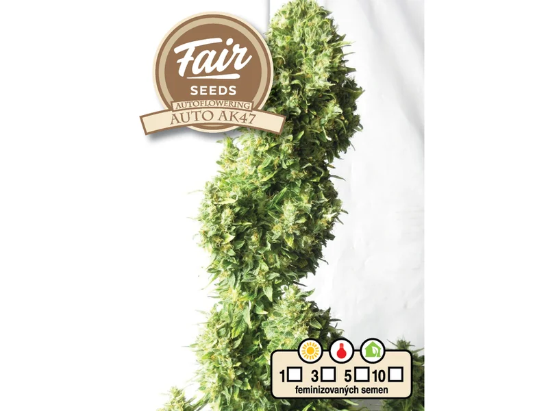 AK47 van Fair Seeds