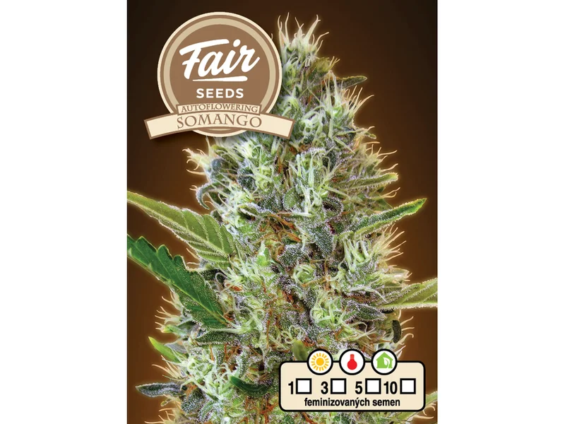 Somango van Fair Seeds