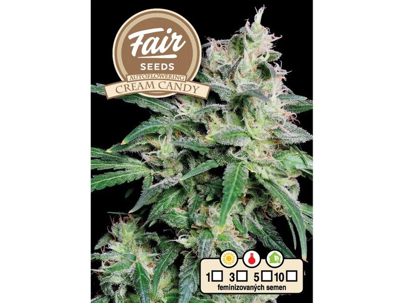 Cream Candy van Fair Seeds