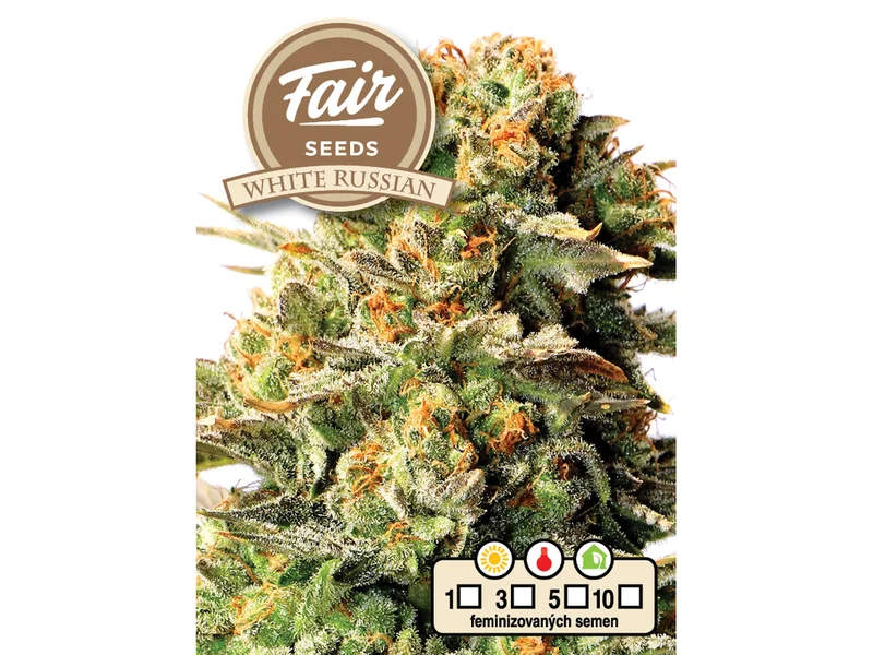 White Russian van Fair Seeds