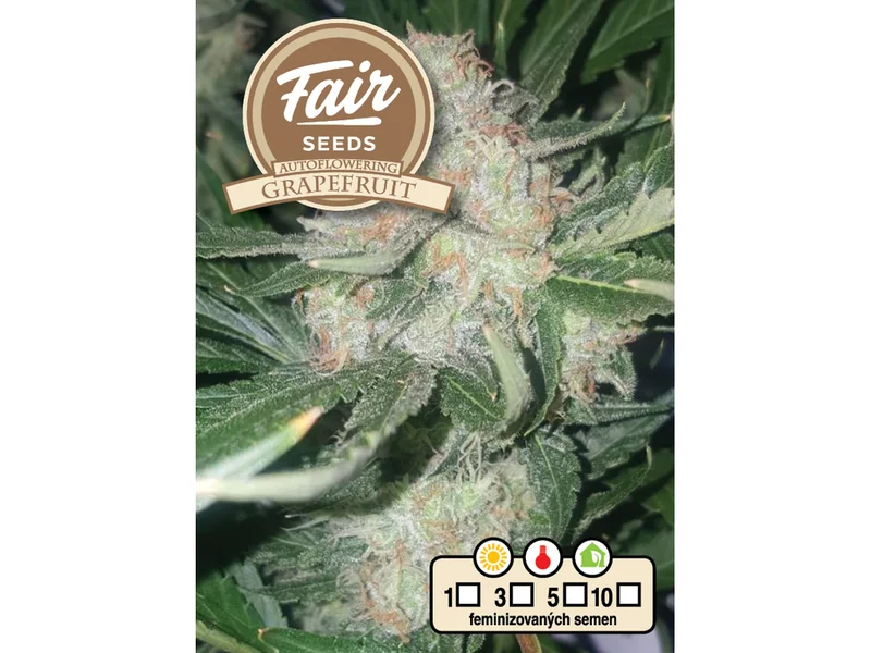 Grapefruit van Fair Seeds