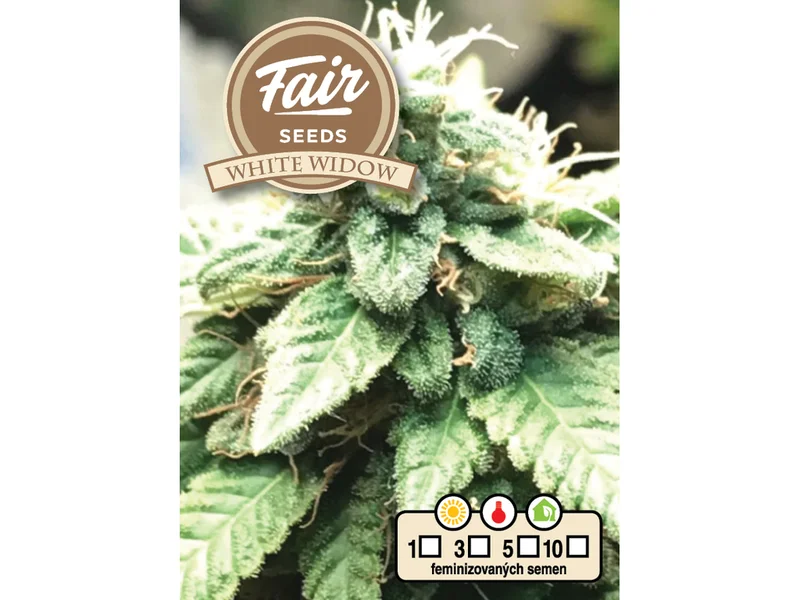 White Widow van Fair Seeds