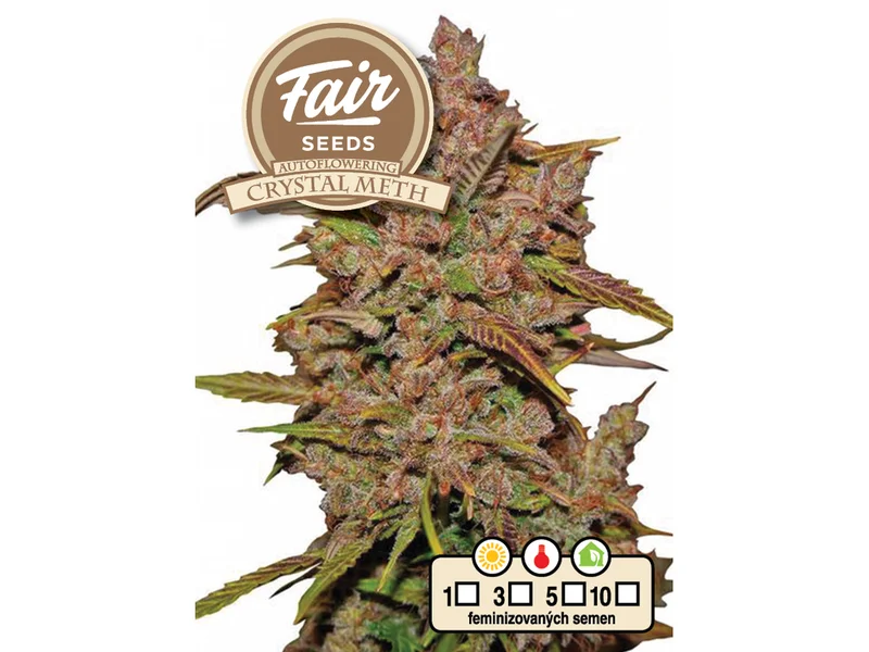 Crystal Meth van Fair Seeds