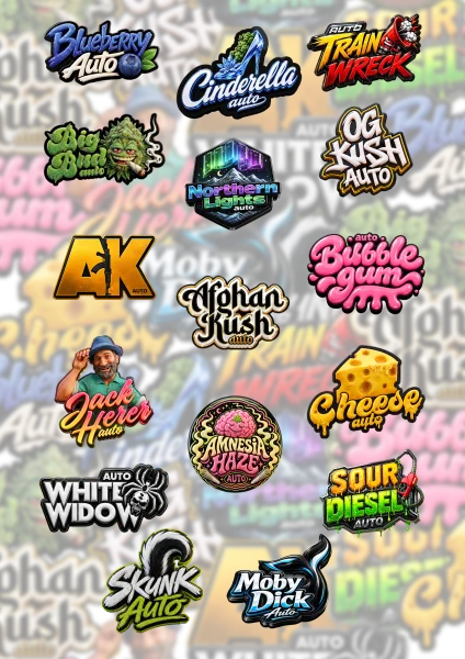 Originals Mix van Fast Buds