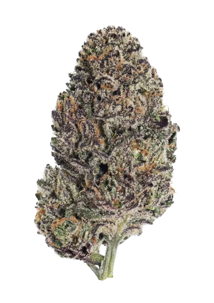 Lemon Cherry Runtz van Fast Buds