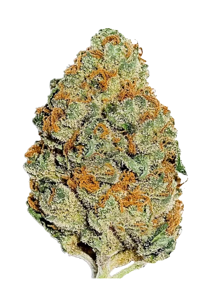Lemon Mandarin van Fast Buds
