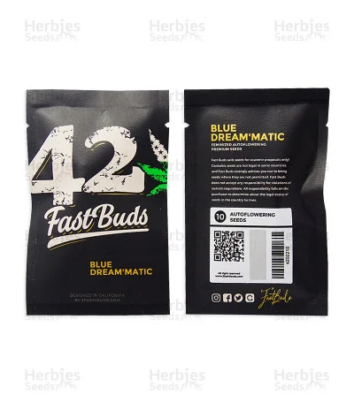Blue Dream'matic van Fast Buds