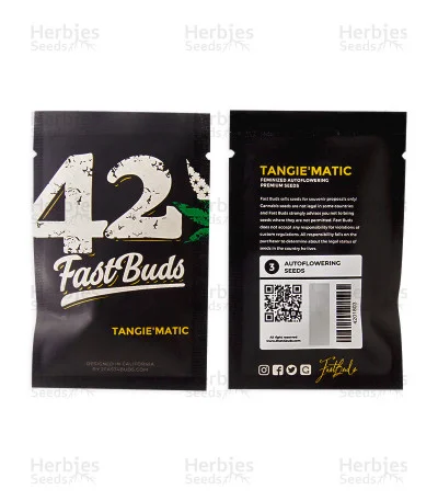 Tangie'matic van Fast Buds