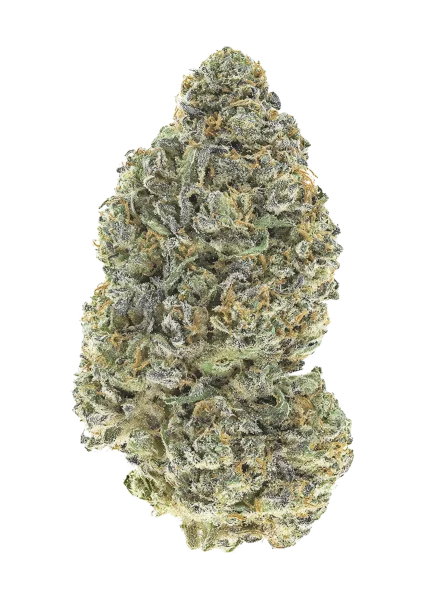 Garlic Mint Sherbet van Fast Buds