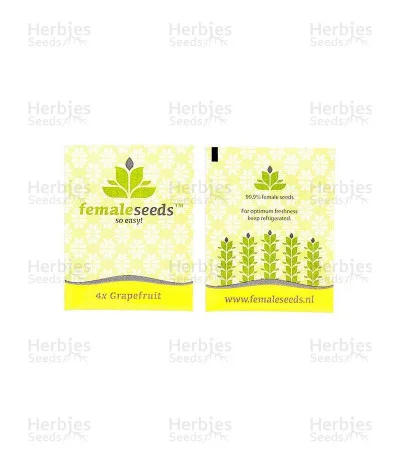Grapefruit van Female Seeds