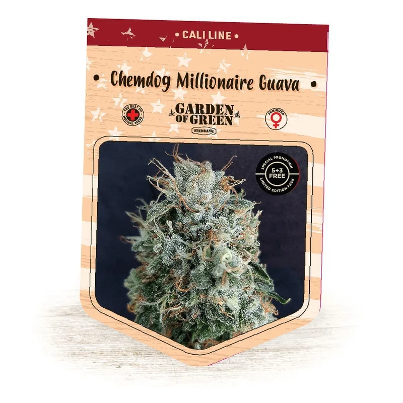 Chemdog Millionaire Guava van Garden of Green