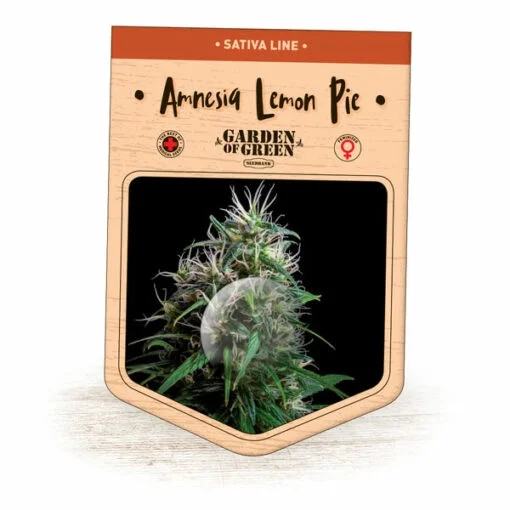 Amnesia Lemon Pie van Garden of Green
