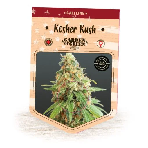 Kosher Kush van Garden of Green