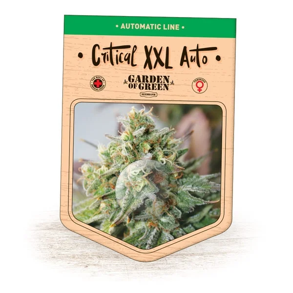 Critical XXL van Garden of Green