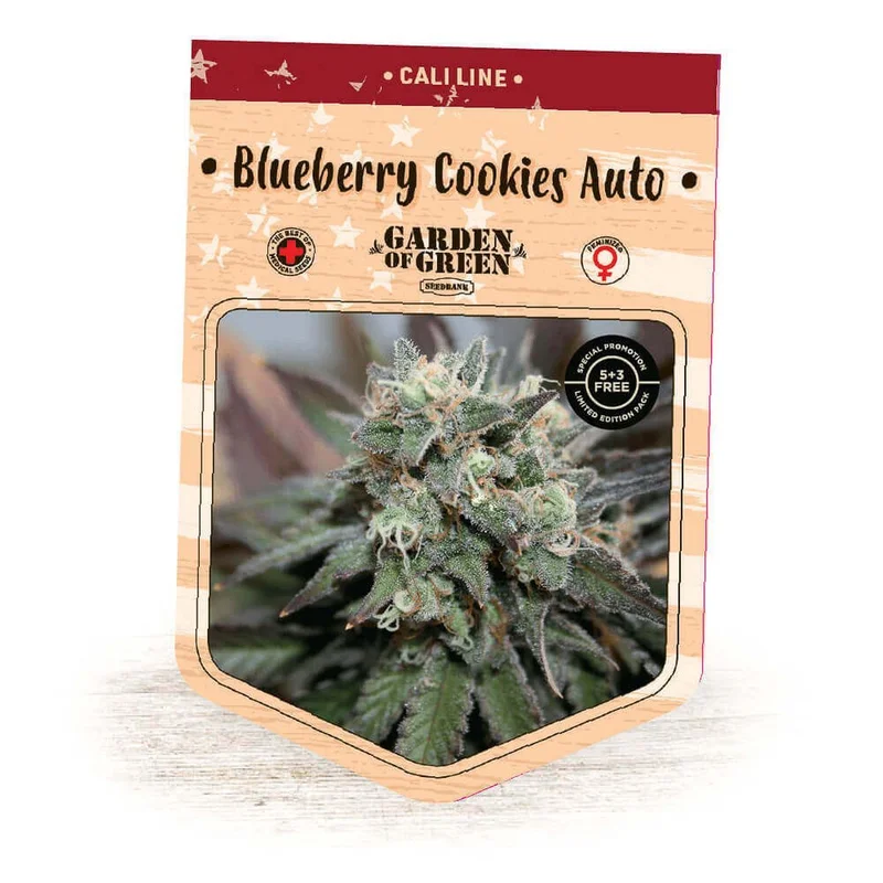 Blueberry Cookies van Garden of Green