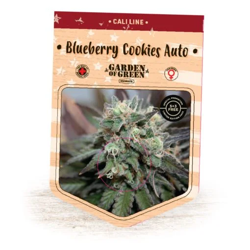 Blueberry Cookies van Garden of Green
