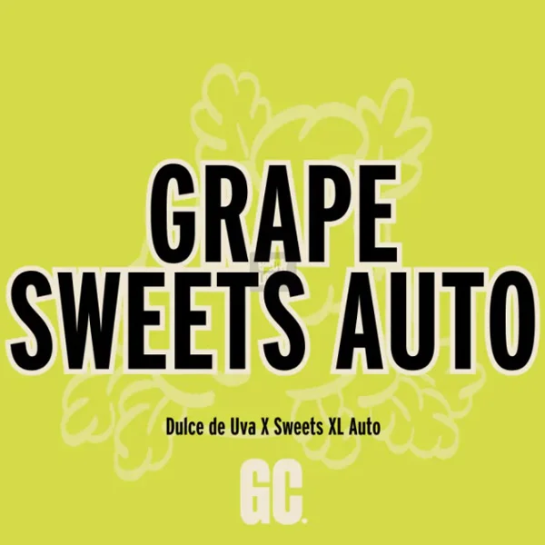 Grape Sweets van Grand Cru Genetics