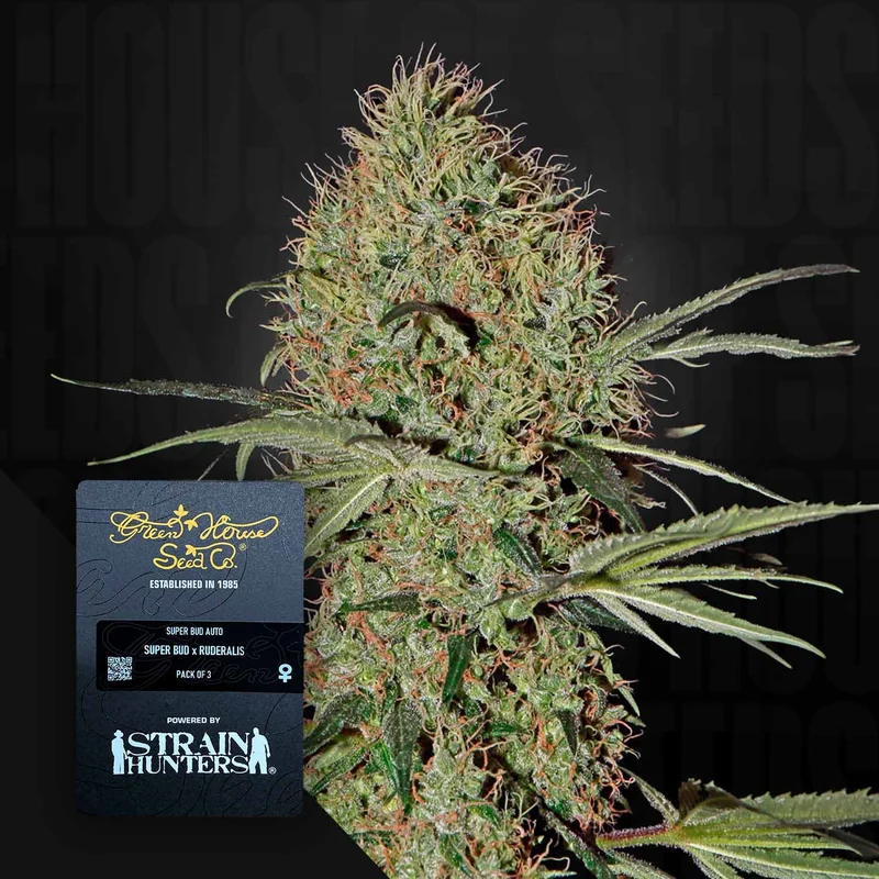 Super Bud van Green House Seed Co.