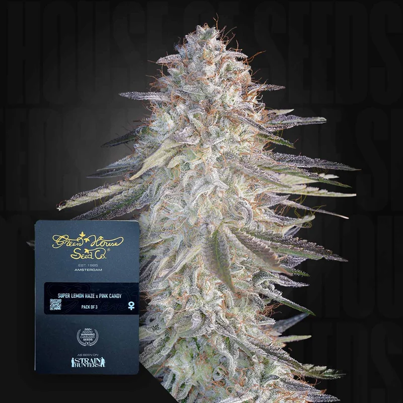 Super Lemon Haze X Pink Candy van Green House Seed Co.