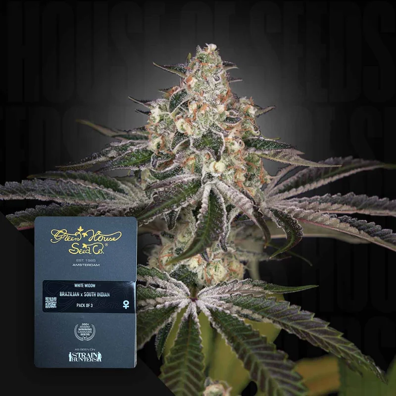 White Widow van Green House Seed Co.