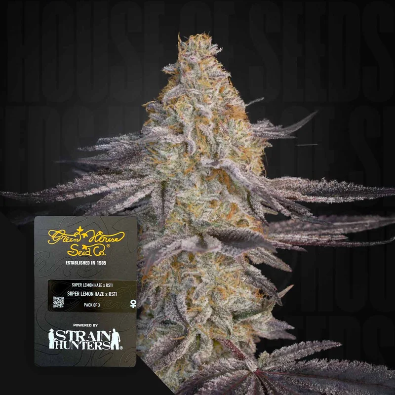 Super Lemon Haze X RS11 van Green House Seed Co.
