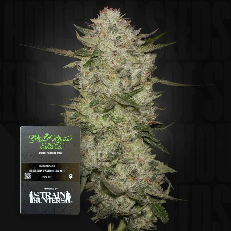 HighCloudZ van Green House Seed Co.