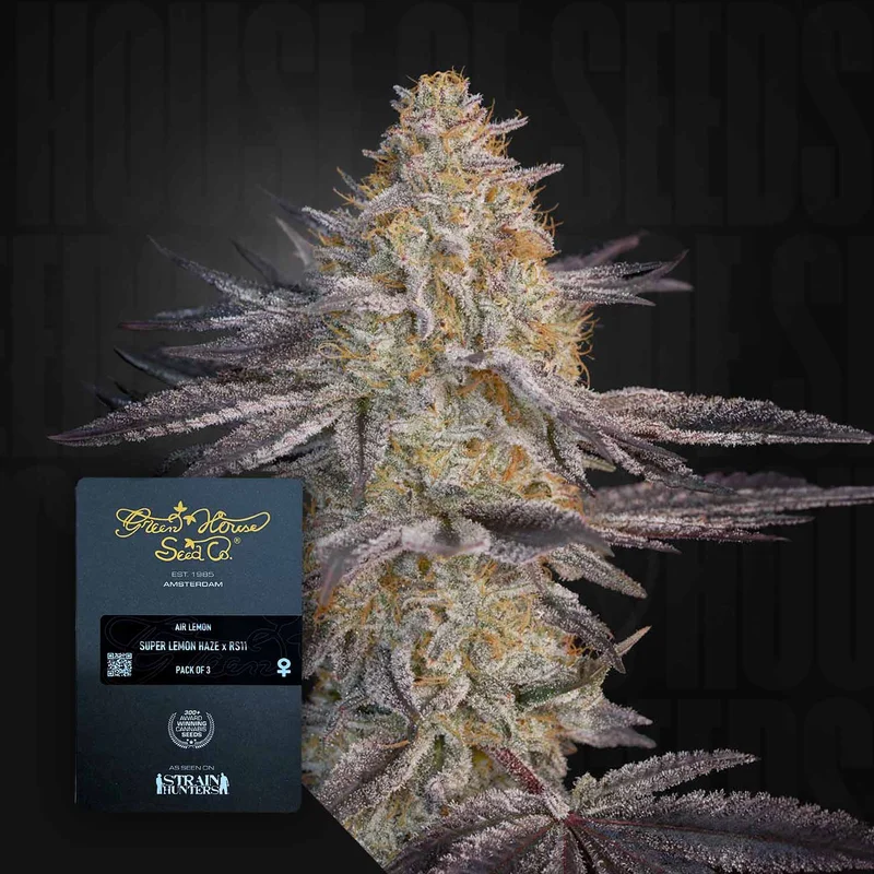 Air Lemon van Green House Seed Co.