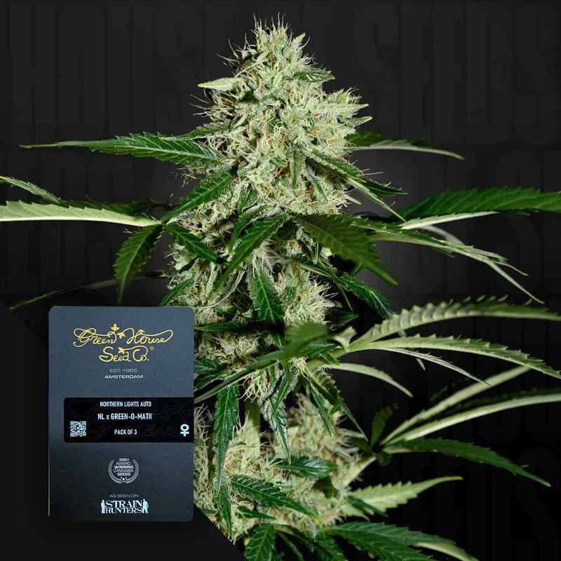 Northern Light van Green House Seed Co.