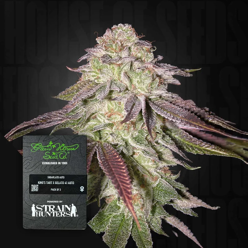 Skunk van Green House Seed Co.