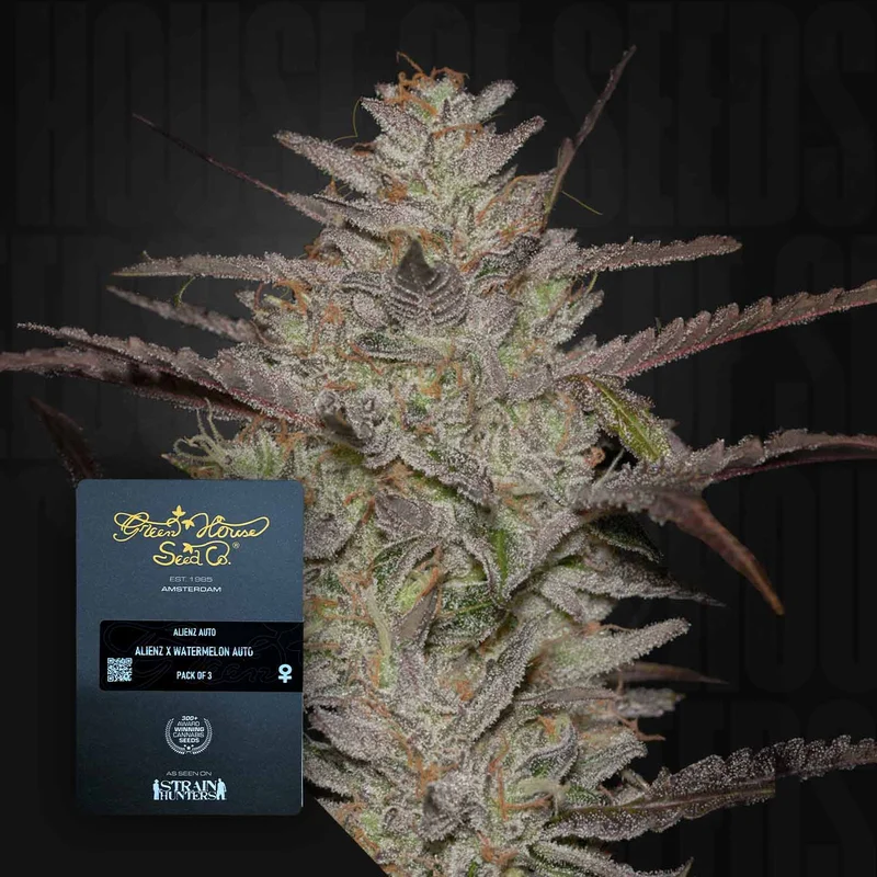 AlienZ van Green House Seed Co.